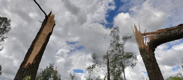 Последствия урагана в Беларуси - Sputnik Беларусь