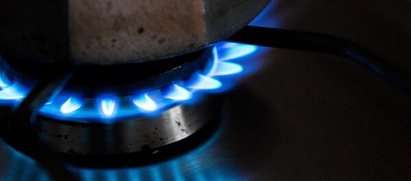 Кастрюля на газовой плите. Архивное фото - Sputnik Беларусь