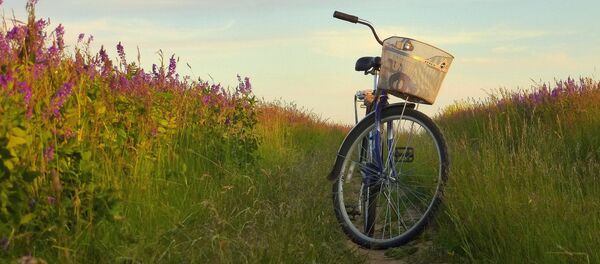 Лето - Sputnik Беларусь