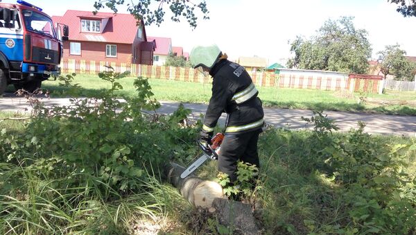 Сотрудник МЧС распиливает упавшее дерево - Sputnik Беларусь