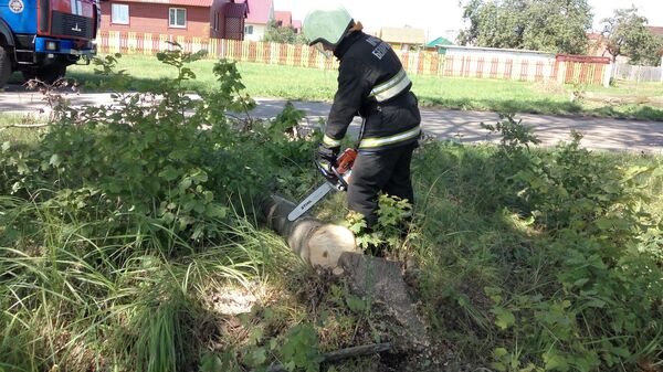 Сотрудник МЧС распиливает упавшее дерево - Sputnik Беларусь
