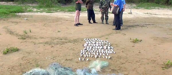 Задержанные на Вилейском водохранилище браконьеры - Sputnik Беларусь