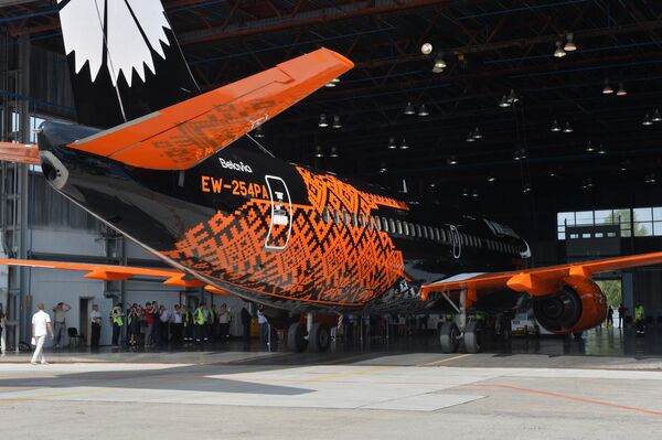 Самолет в ангаре - Sputnik Беларусь