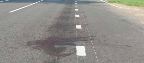 Место ДТП в Оршанском районе - Sputnik Беларусь