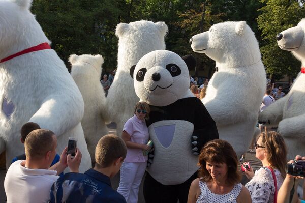 Мишки-неваляшки стали хитом карнавала по количеству с ними сэлфи - Sputnik Беларусь