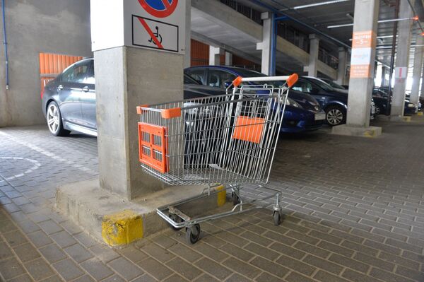 В скором времени одинокие тележки на парковках Короны должны исчезнуть В скором времени одинокие тележки на парковках Короны должны исчезнуть - Sputnik Беларусь