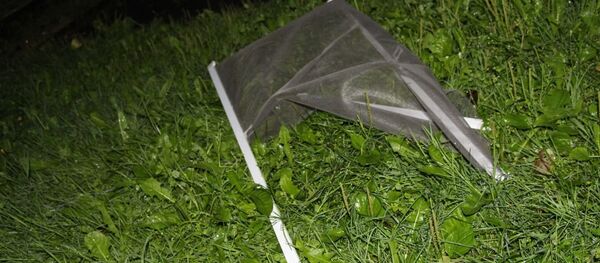 Выпавшая из окна москитная сетка - Sputnik Беларусь