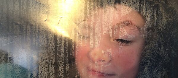 Елена Аносова Медвежий угол Елена Аносова Медвежий угол - Sputnik Беларусь