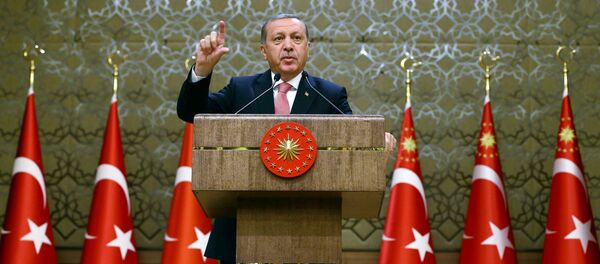 Президент Турции Тайип Эрдоган - Sputnik Беларусь