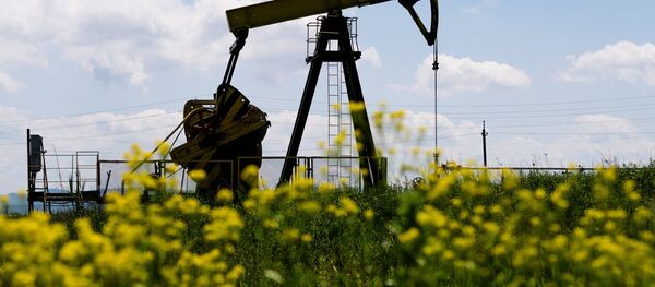 Нефтяные станки-качалки - Sputnik Беларусь