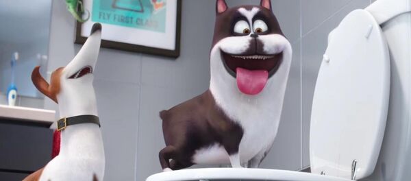 Кадр из мультфильма Тайная жизнь домашних животных - Sputnik Беларусь