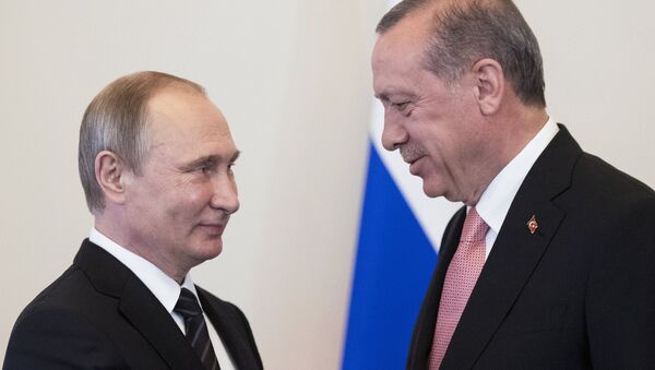 Встреча президентов России и Турции В. Путина и Р. Эрдогана в Санкт-Петербурге - Sputnik Беларусь