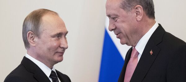 Встреча президентов России и Турции В. Путина и Р. Эрдогана в Санкт-Петербурге - Sputnik Беларусь