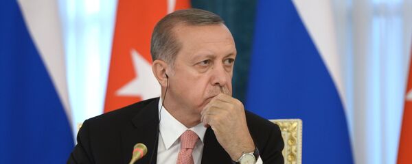 Встреча президентов России и Турции В. Путина и Р. Эрдогана в Санкт-Петербурге - Sputnik Беларусь