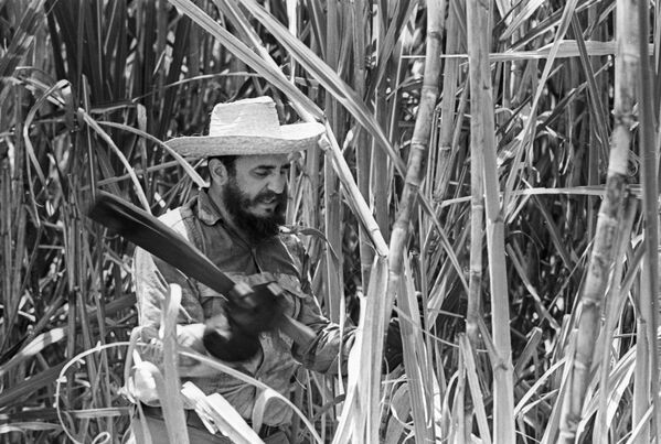 Премьер-министр Республики Куба Фидель Кастро на рубке сахарного тростника, сентябрь 1969 года. - Sputnik Беларусь