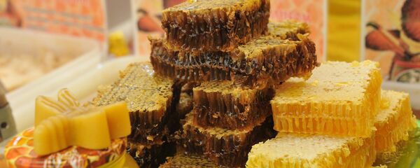 Мёд Мёд - Sputnik Беларусь