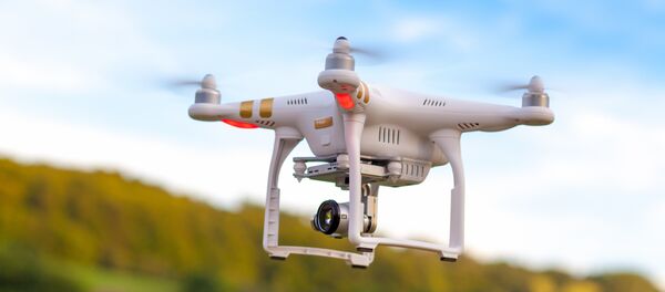 Кваадрокоптер Фантом - Sputnik Беларусь