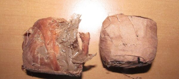 Конфискованный кокаин - Sputnik Беларусь