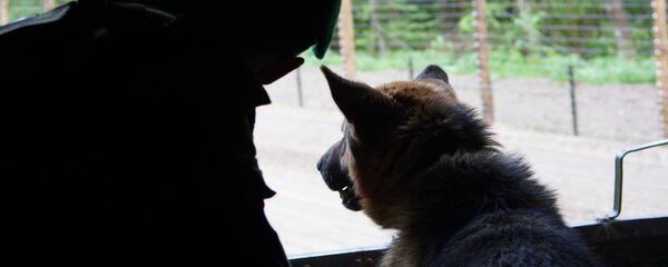 Пограничник со служебной собакой - Sputnik Беларусь