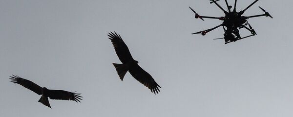 Мультикоптер (беспилотник) в небе - Sputnik Беларусь