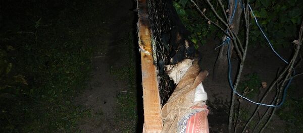 Сгоревшая кровать - Sputnik Беларусь