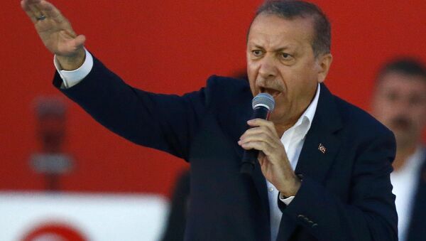 Президент Турции Тайип Эрдоган - Sputnik Беларусь