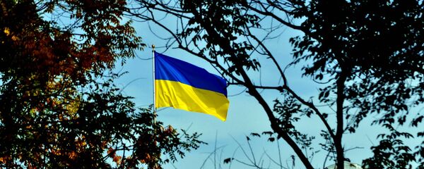 Флаг Украины. Архивное фото - Sputnik Беларусь