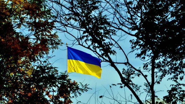 Флаг Украины. Архивное фото - Sputnik Беларусь