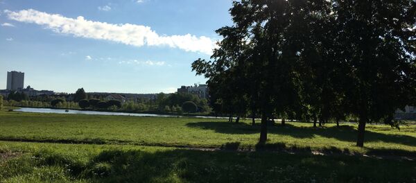 Этот участок в районе улицы Филимонова в перспективе хотят застроить. Этот участок в районе улицы Филимонова в перспективе хотят застроить. - Sputnik Беларусь