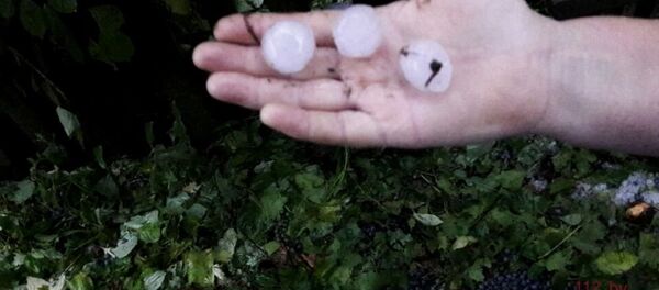 Гигантский град выпал в Добруше Гигантский град выпал в Добруше - Sputnik Беларусь