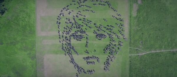 Портрет Земфиры - Sputnik Беларусь