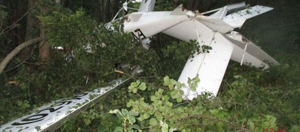 Самолет, упавший возле Браслав - Sputnik Беларусь