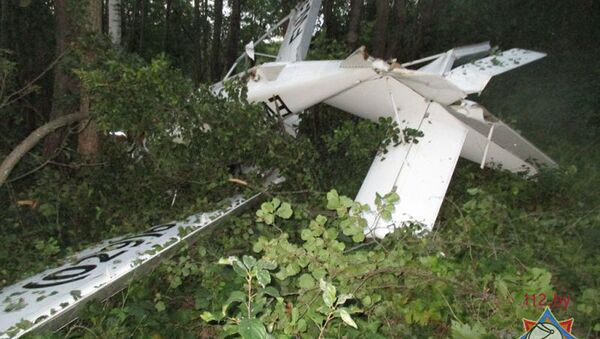 Самолет, упавший возле Браслав - Sputnik Беларусь