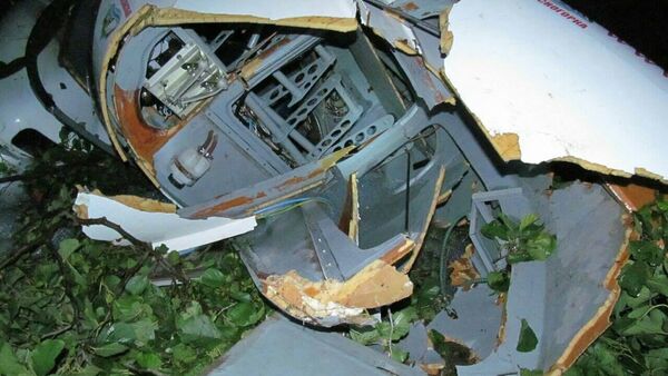 Разбитая кабина самолета - Sputnik Беларусь