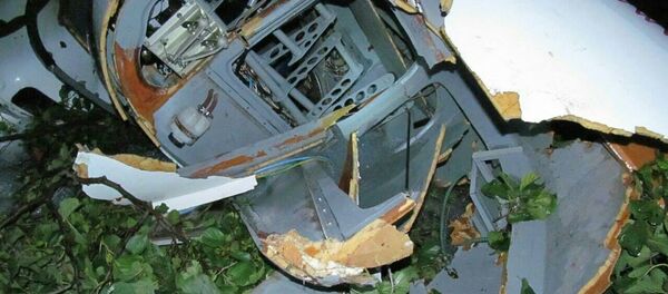 Разбитая кабина самолета - Sputnik Беларусь