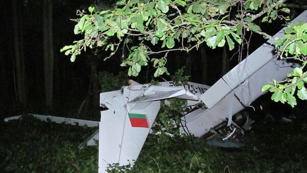 Упавший под Браславом самолет - Sputnik Беларусь