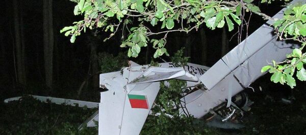 Упавший под Браславом самолет - Sputnik Беларусь