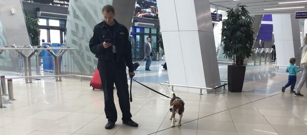 В аэропорту - Sputnik Беларусь