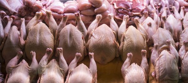 Прилавок с мясом птицы. Архивное фото - Sputnik Беларусь
