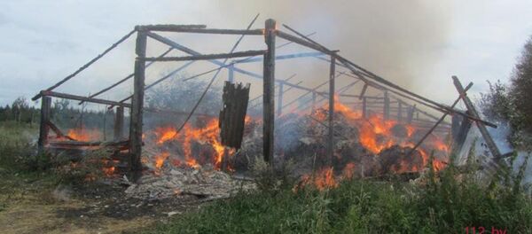 Пожар в Новогрудском районе - Sputnik Беларусь