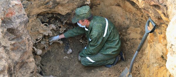 Раскопки на месте бывшего концлагеря для военнопленных Шталаг 382 - Sputnik Беларусь