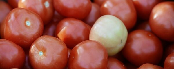 Помидоры. Архивное фото - Sputnik Беларусь