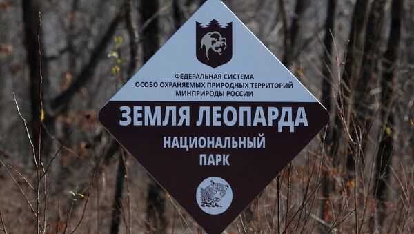 Национальный парк Земля леопарда в Приморском крае - Sputnik Беларусь