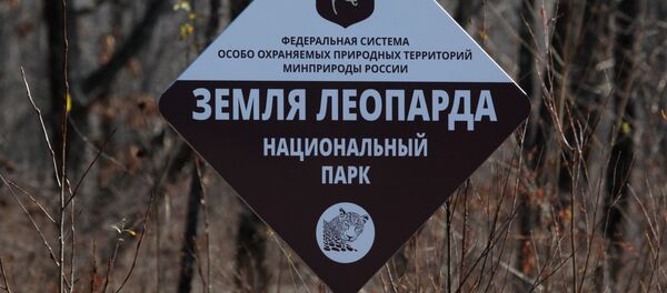 Национальный парк Земля леопарда в Приморском крае - Sputnik Беларусь