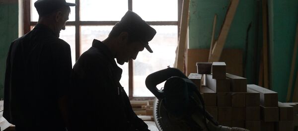 Работа заключенных. Фото носит иллюстративный характер Работа заключенных. Фото носит иллюстративный характер - Sputnik Беларусь