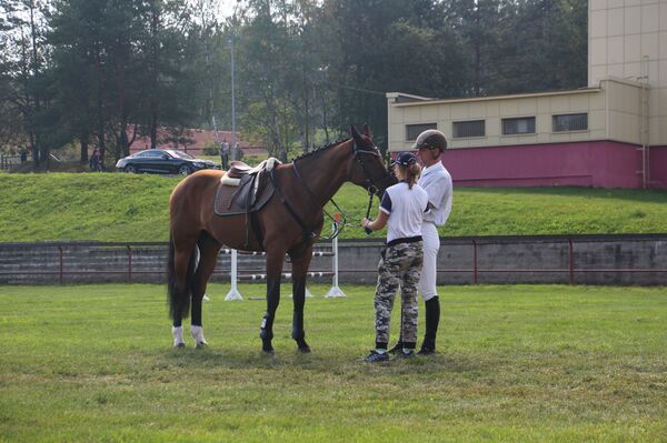 Всадники готовятся к соревнованиям - Sputnik Беларусь