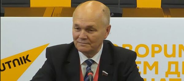 Российский сенатор: на выборах в Беларуси царит семейная атмосфера - Sputnik Беларусь