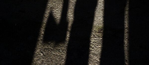 Тень мужчины с топором Тень мужчины с топором - Sputnik Беларусь