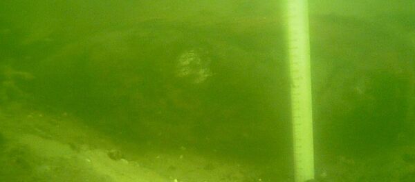 Бомба на дне Сожа - Sputnik Беларусь