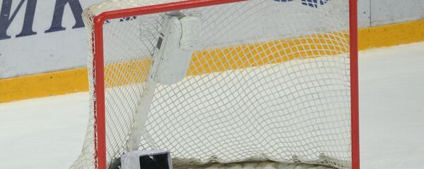 Шайба в пустых воротах. Архивное фото Шайба в пустых воротах. Архивное фото - Sputnik Беларусь
